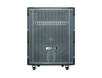 Loa Kéo Karaoke Acnos 15S3