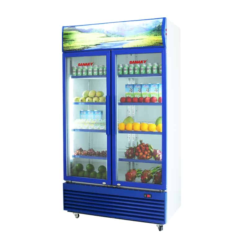 Tủ mát Sanaky VH-1009HPV