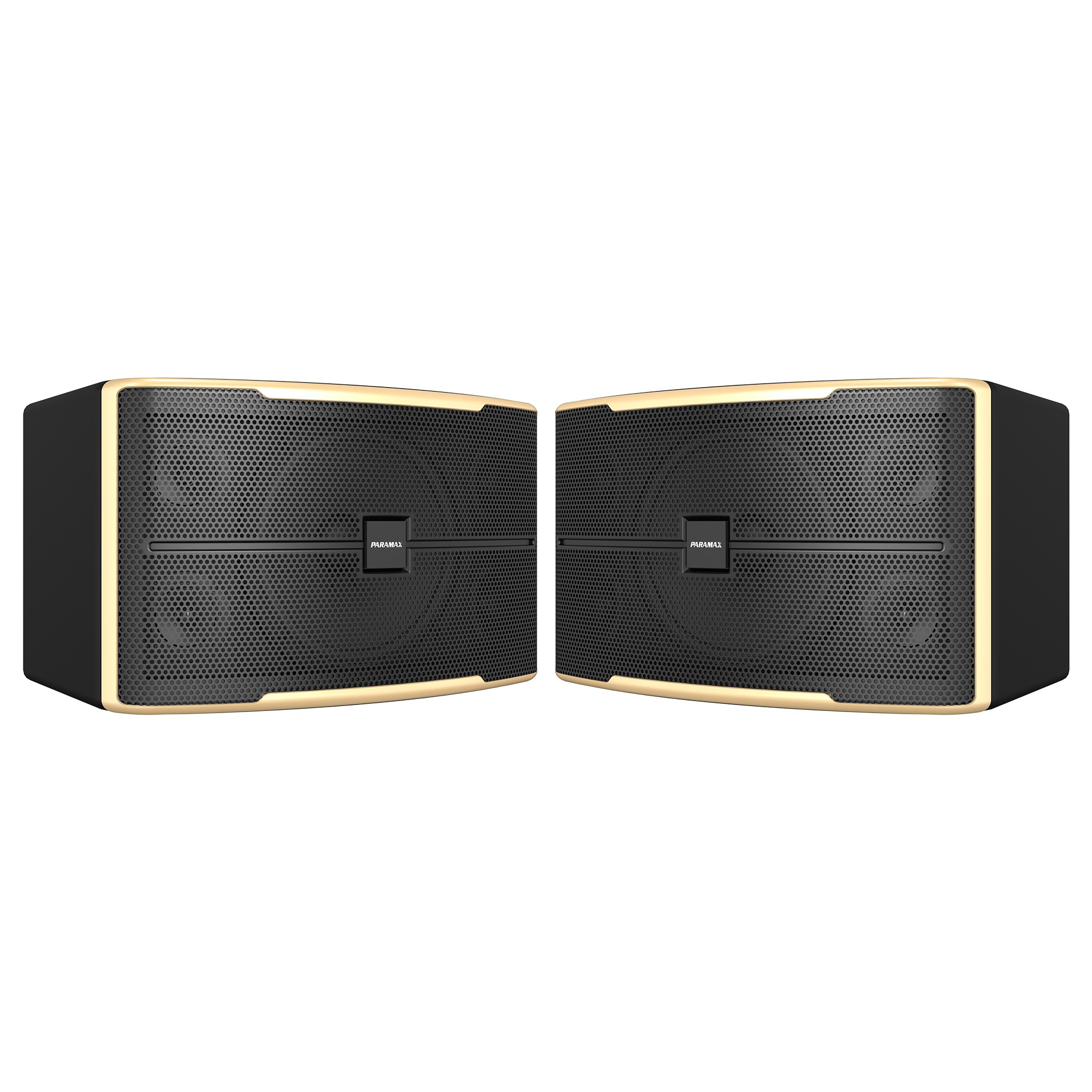 Loa Karaoke 10 inches Z-1500