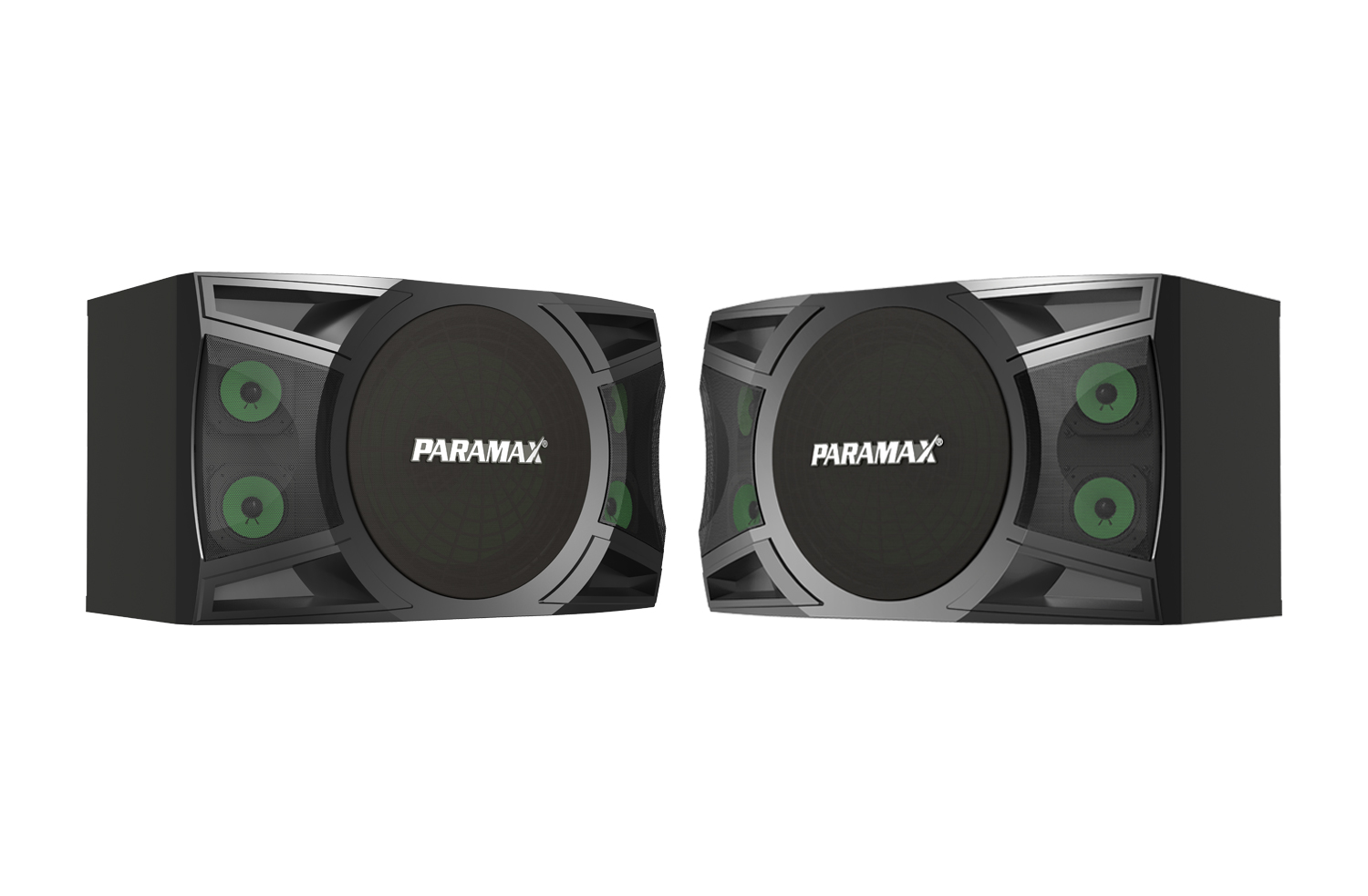 Loa Karaoke Bass 25 PARAMAX P-1000