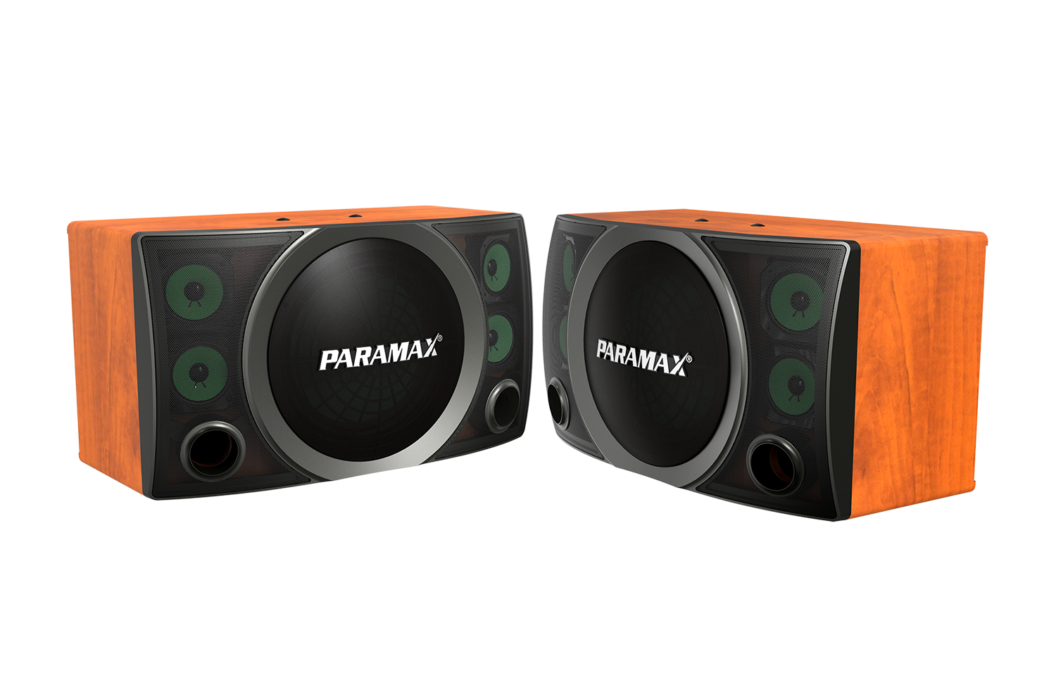 Loa karaoke Paramax SC-3500
