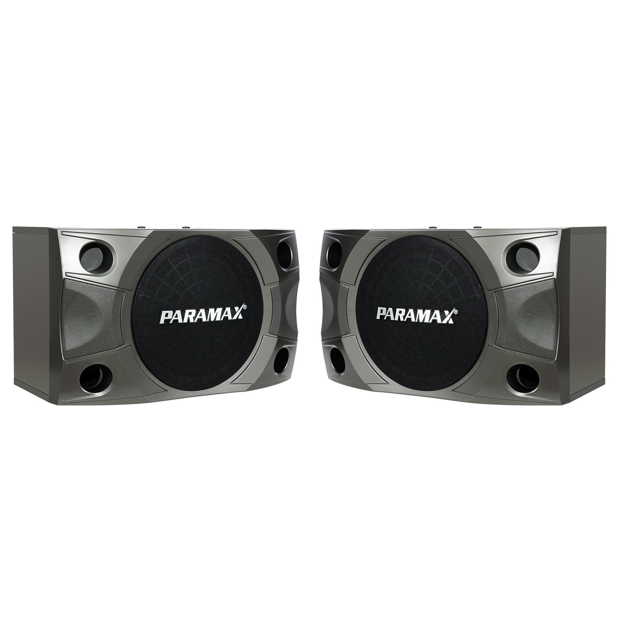 Loa karaoke Paramax P-850