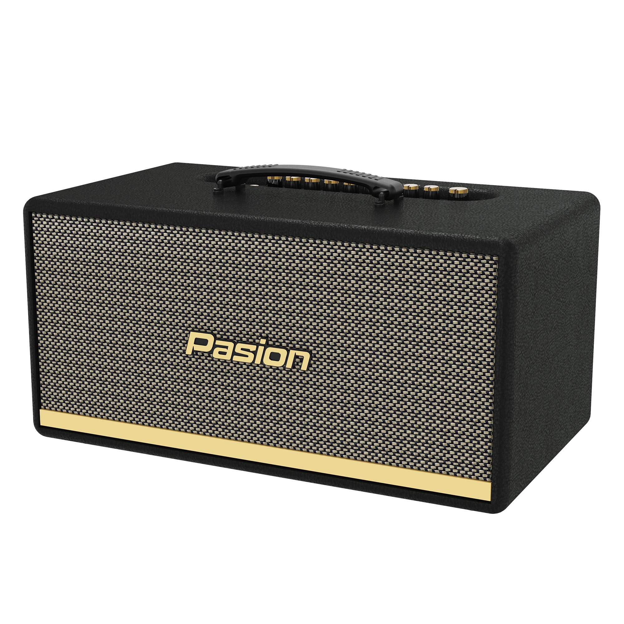 Loa Di Động Xách Tay Paramax PASION 2