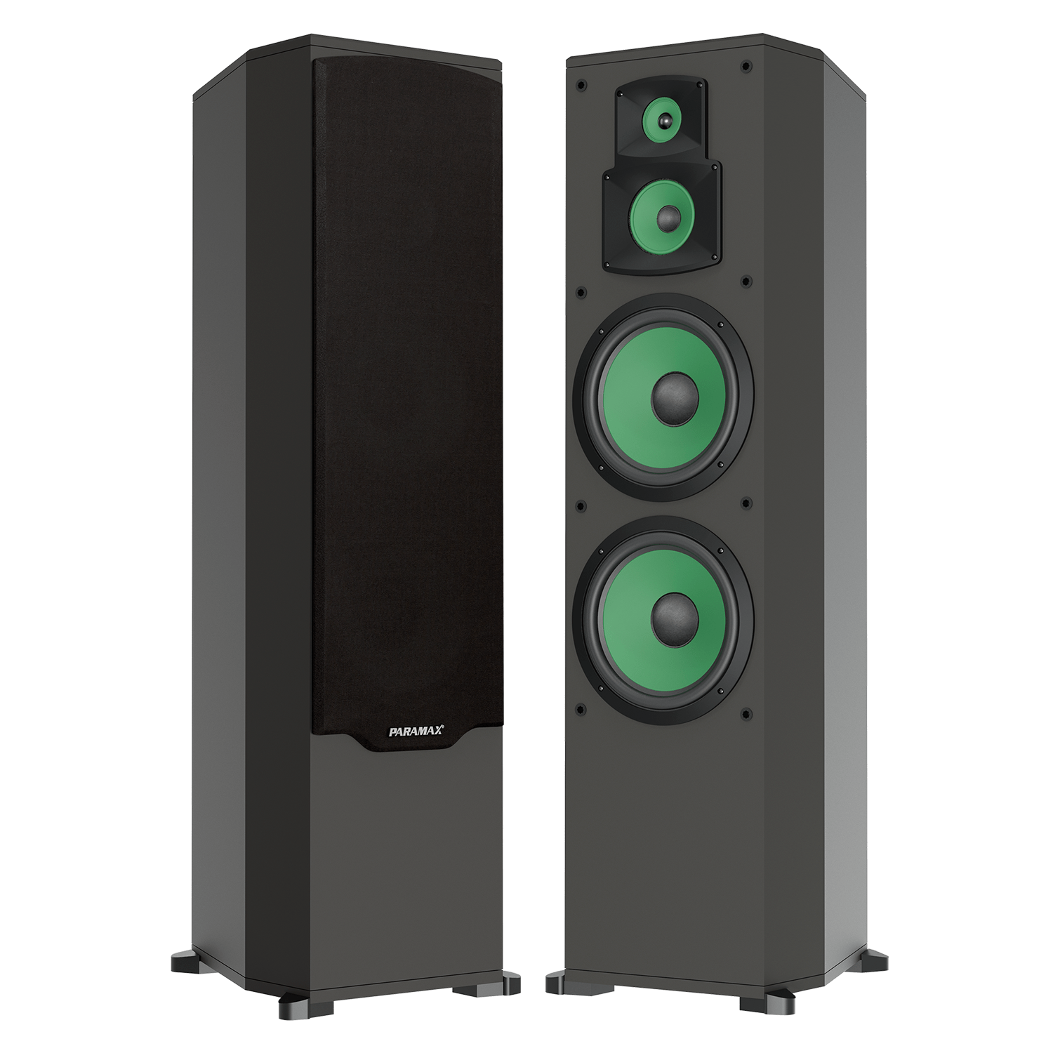 Loa karaoke Paramax F-1000