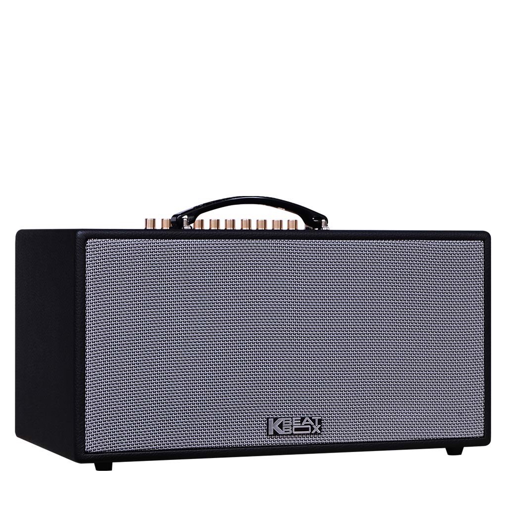 Loa kéo di động Acnos hn447