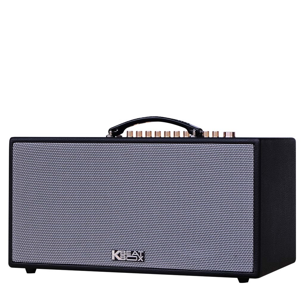 Dàn loa Karaoke di động Acnos CS446