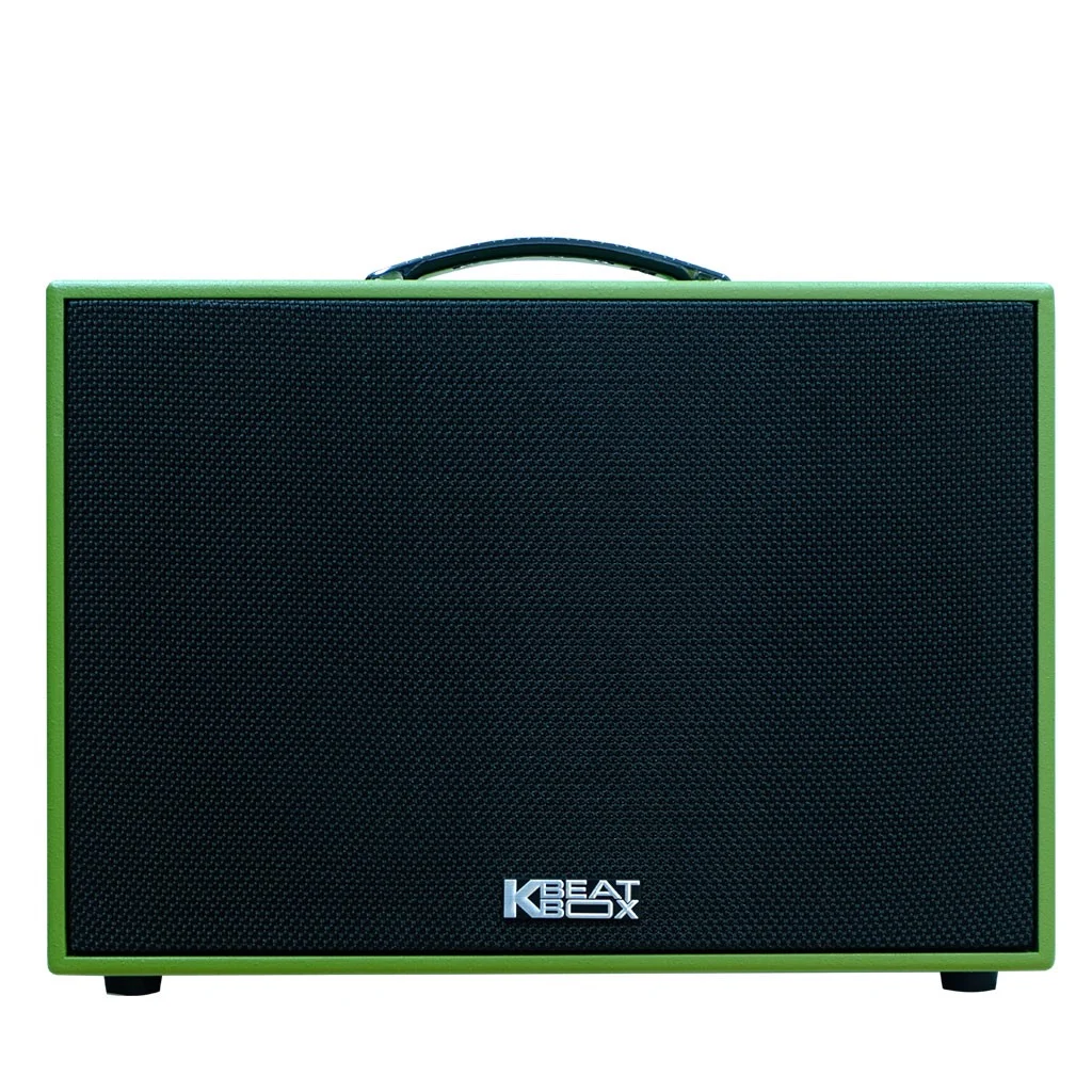 Loa karaoke Acnos CS200SON