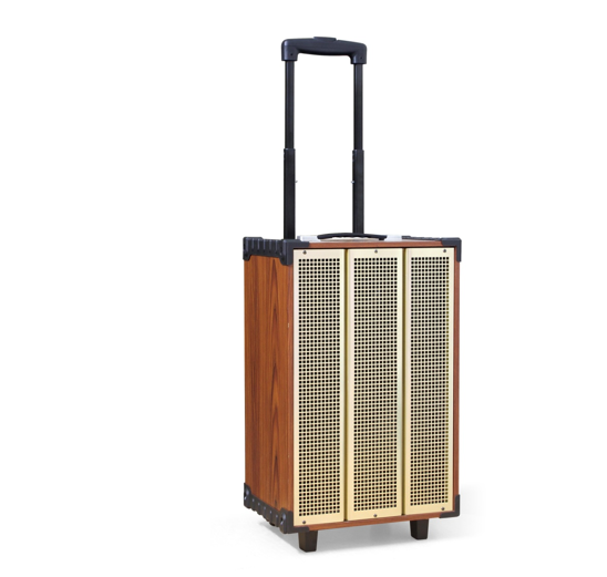 Loa kéo Arirang MKS1 (kèm 2 mic) 300W Bass 30cm 12''