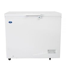 Tủ đông Sanden 1 ngăn 250 lít SNH-0205