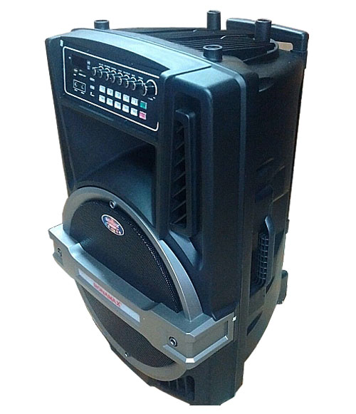 Loa Kéo Di Động Ronamax T15