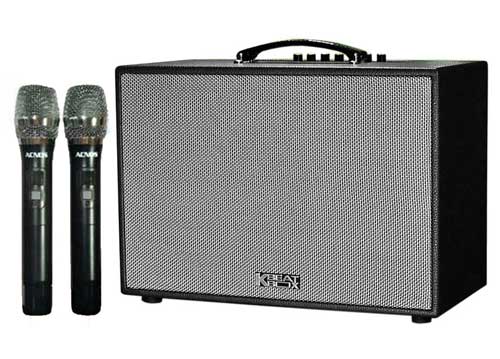 Loa xách tay Acnos CS251PU