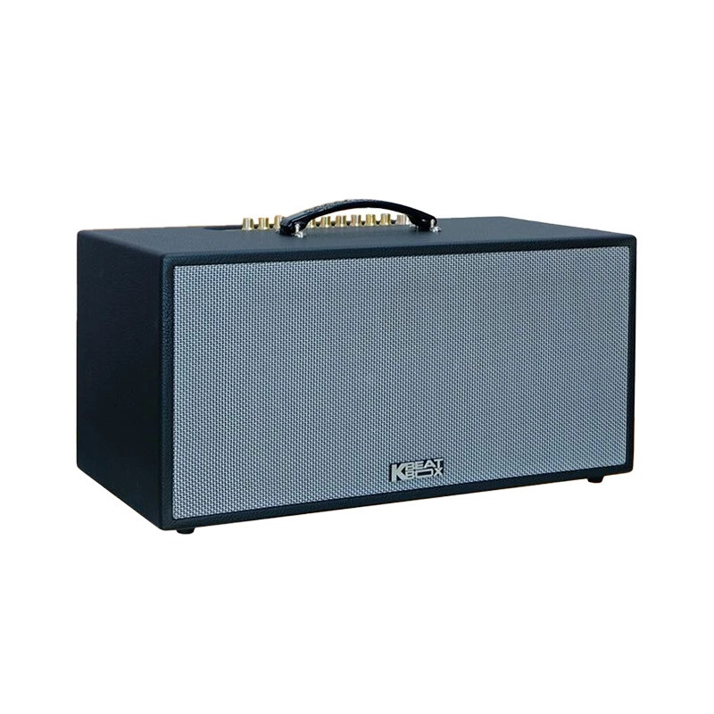 Loa xách tay Acnos CS451Plus
