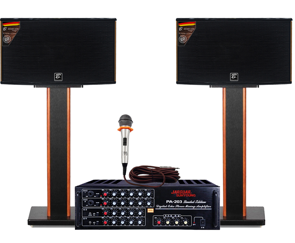 Dàn Karaoke Gia Đình VF27 Dưới 15 triệu