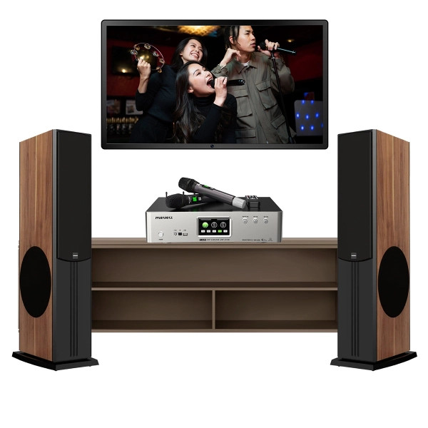 Dàn karaoke Paramax +D88 Limited loa đứng +Z-A450