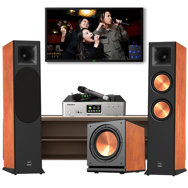 Dàn karaoke Paramax +Euro 8 Limited +Z-A450+Sub-D30