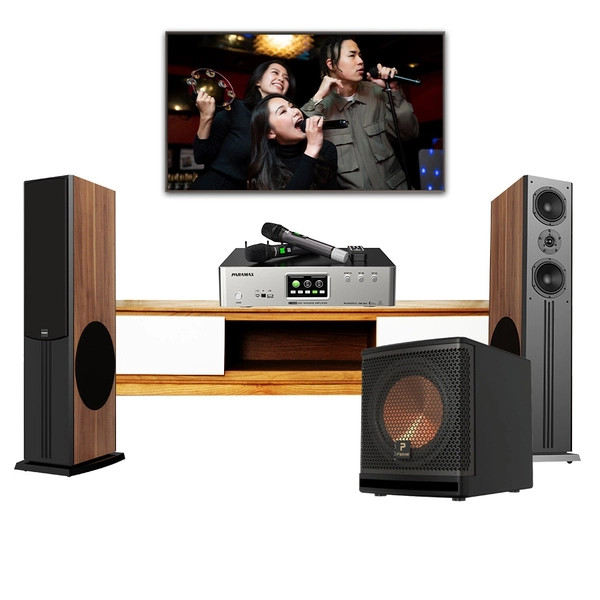 Dàn karaoke gia đình Paramax D88 Limited +Z-A450 _sub E30