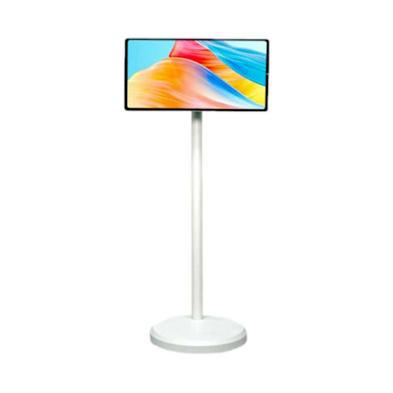 Màn hình Cảm Ứng Di Động 21.5 inch Tomko GoWithMe P220-CB ( Camera)