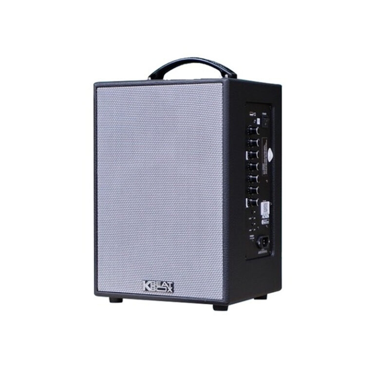 Loa xách tay Acnos CS141