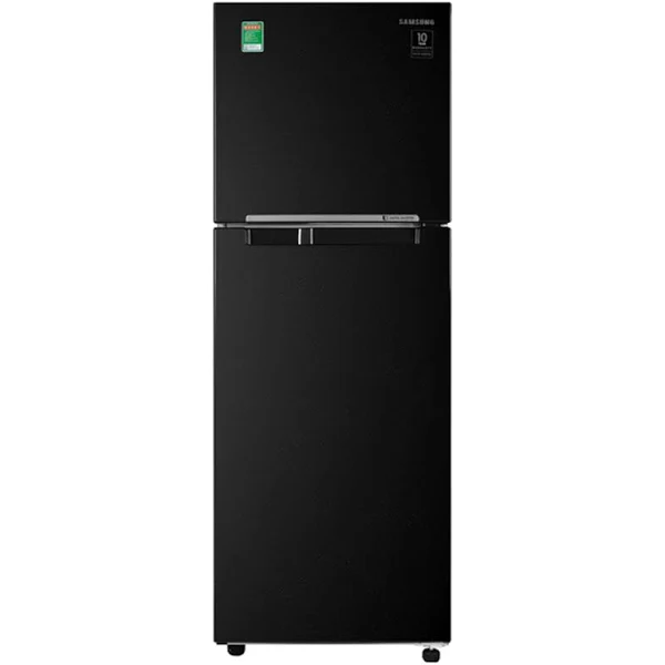 Tủ lạnh Samsung Inverter 256 lít RT25M4032BU/SV