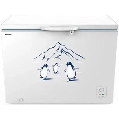 Tủ đông Hisense Inverter 300 lít FC380D4EWC1